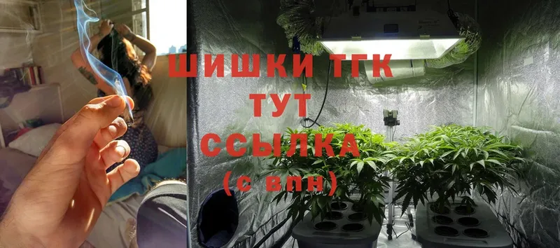 где продают наркотики  Сосновка  Шишки марихуана SATIVA & INDICA 